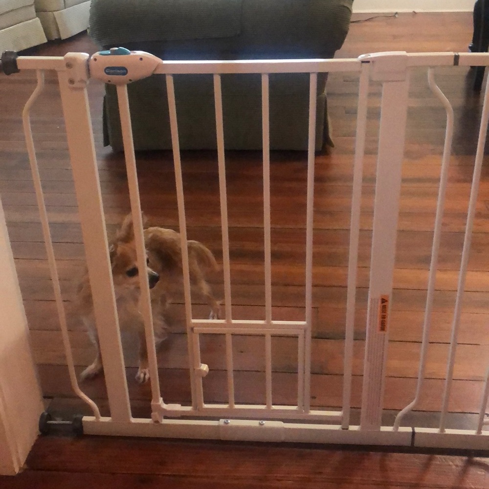 New, barely used gate with pet door